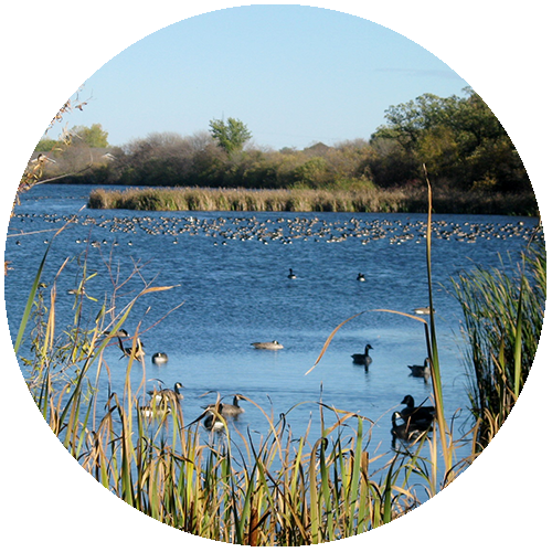 bird-sanctuary-neepawa-community-what-to-do-in-neepawa-1.png