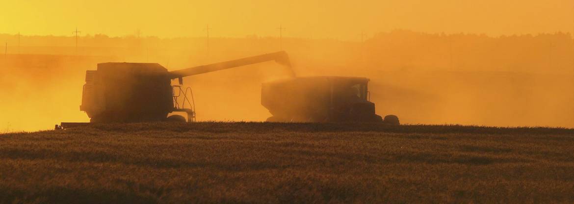 neepawa-banner-9.jpg