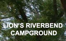 LION-CAMPGROUND.jpg