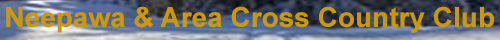 Untitled-2.png