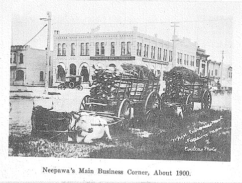 A.F. Mackenzie - "A Brief History of Neepawa - Land of Plenty" 1958