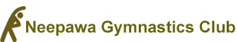 gymnastics.png